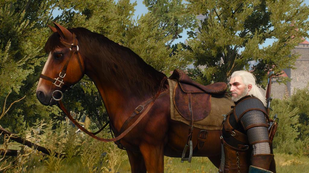 Meet Roach - the BEST HORSE EVER.