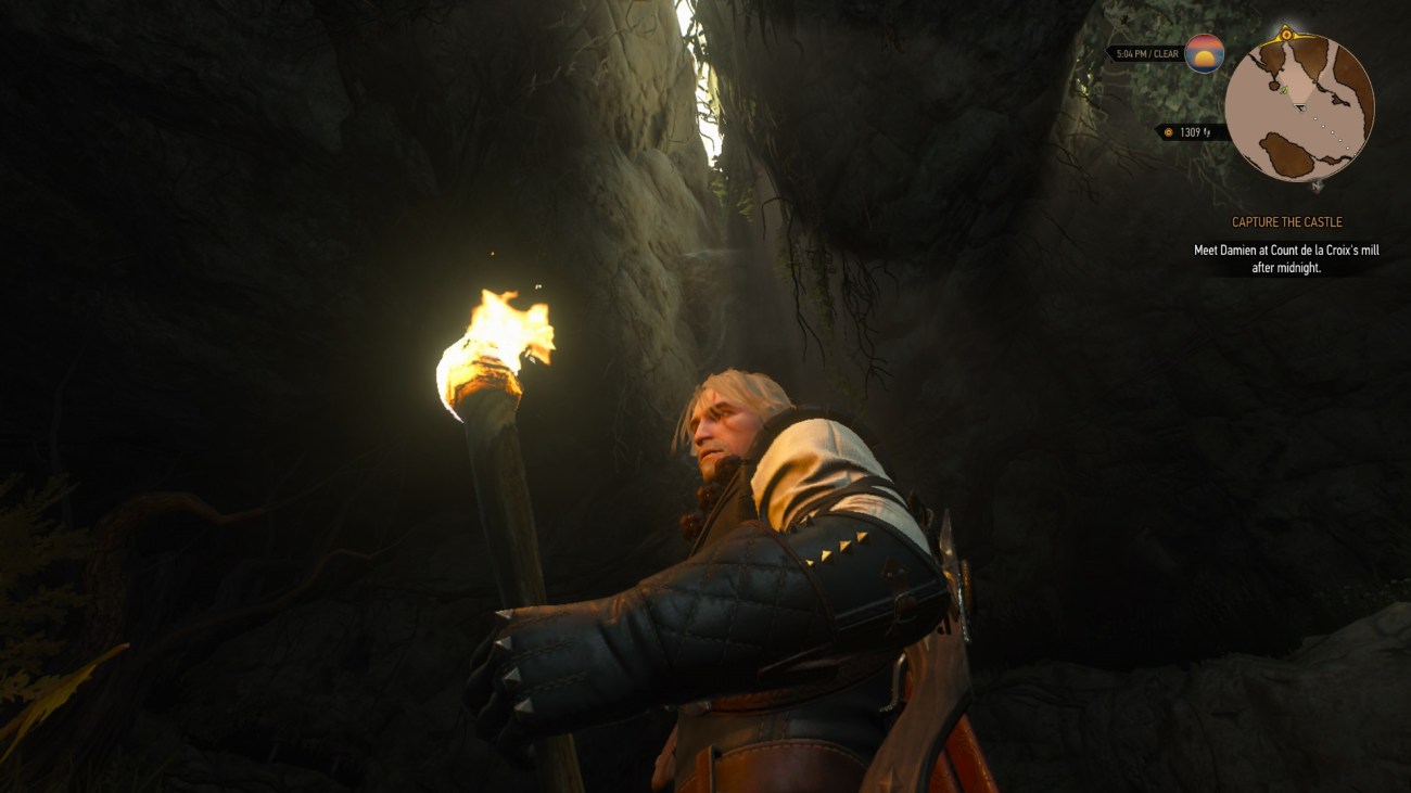 The Witcher 3 Wild Hunt (3)