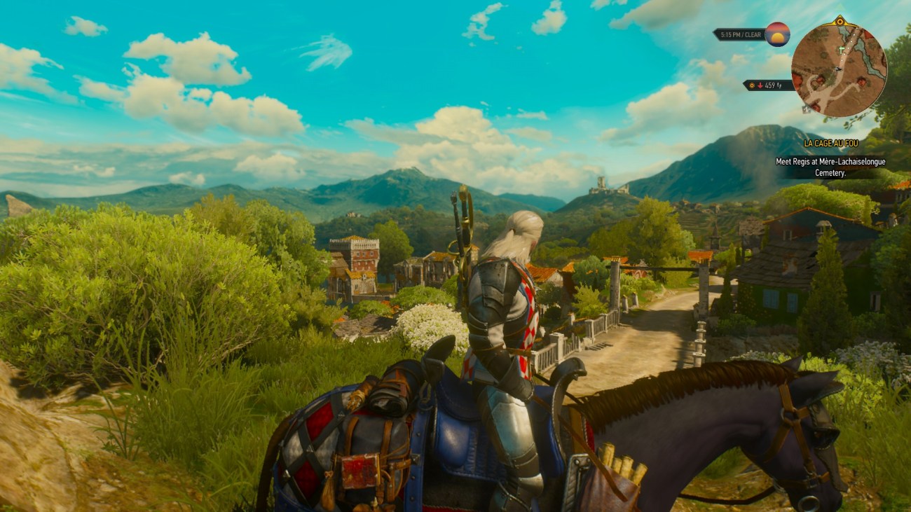 The Witcher 3 Wild Hunt (6)