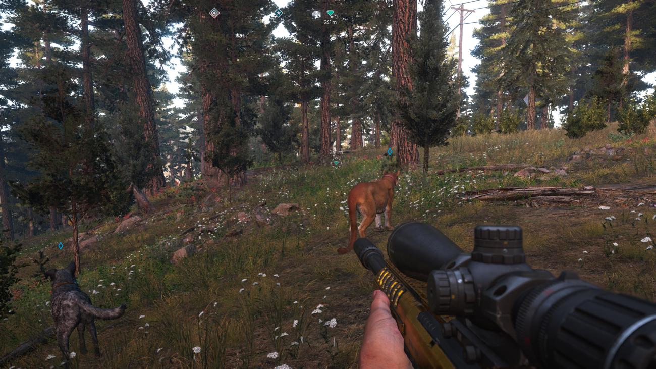 4-8-2018_10-33-23_AM