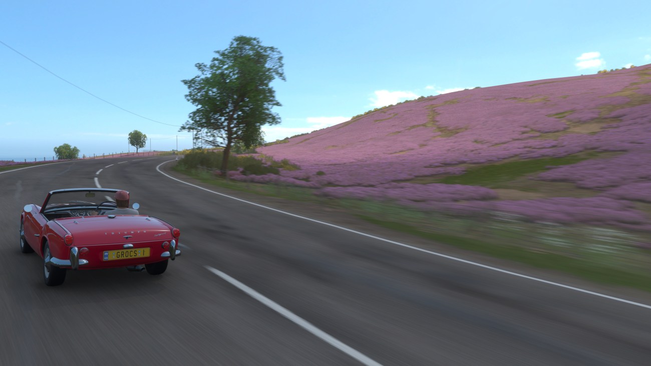 Forza Horizon 4_result
