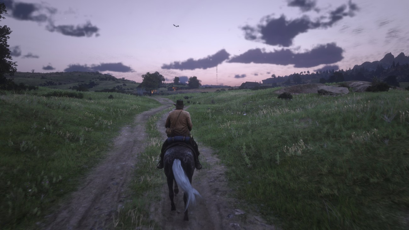 Red Dead Redemption 2 (2)